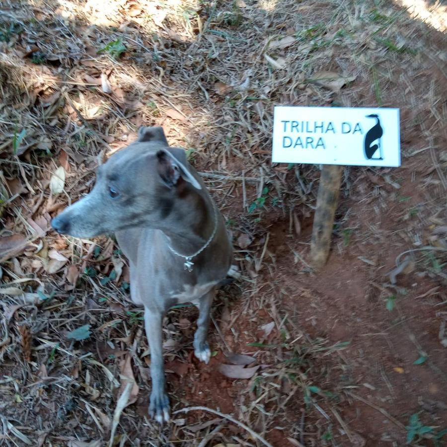 Casa Do Galgo Lägenhet São Bento do Sapucaí Exteriör bild